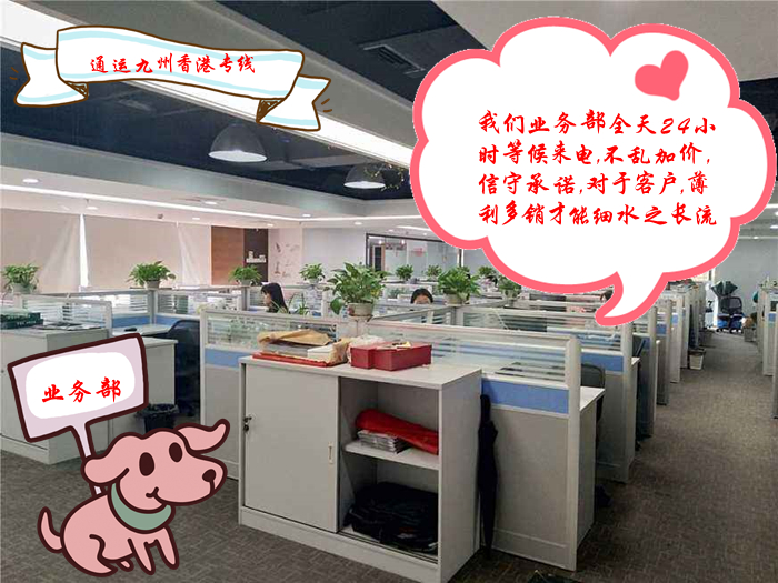 淄博到香港物流的五大服務(wù)優(yōu)勢,物流網(wǎng)點覆蓋多,天天發(fā)車